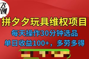(6593期)拼多多3C玩具维权项目,一天操作半小时,稳定收入100+(仅揭秘)