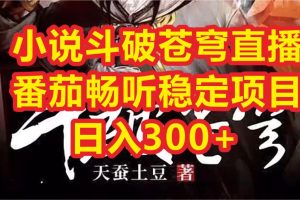 (6584期)小说斗破苍穹直播,番茄畅听日入300+稳定项目