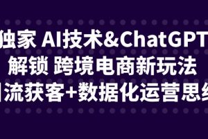 (6599期)独家 AI技术&ChatGPT解锁 跨境电商新玩法,引流获客+数据化运营思维