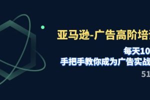 (7739期)亚马逊-广告高阶培训班,每天10分钟,手把手教你成为广告实战高手(51节)