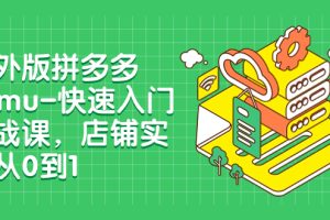 (7876期)海外版拼多多Temu-快速入门实战课,店铺实战从0到1(12节课)