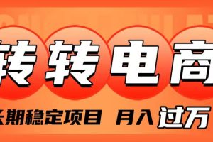(7931期)外面收费1980的转转电商,长期稳定项目,月入过万