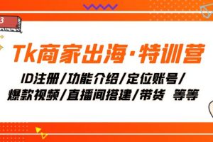 (7974期)Tk商家出海·特训营:ID注册/功能介绍/定位账号/爆款视频/直播间搭建/带货.