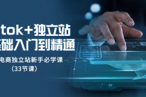 (8065期)tk+独立站从0基础入门到精通,跨境电商独立站新手必学课(33节课)