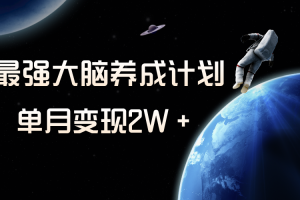 （8077期）冷门虚拟项目，最强大脑养成计划，一个月变现2W＋