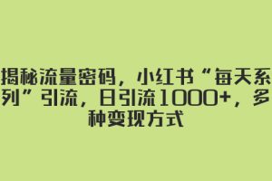 (8179期)揭秘流量密码,小红书“每天系列”引流,日引流1000+,多种变现方式