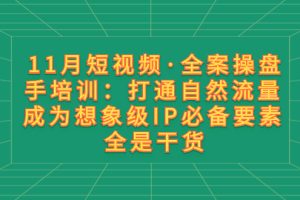 (8182期)11月短视频·全案操盘手培训:打通自然流量 成为想象级IP必备要素 全是干货