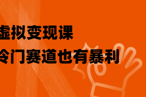 (8219期)虚拟变现课,冷门赛道也有暴利,手把手教你玩转冷门私域