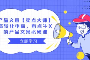 (8244期)产品文案【卖点 大师】高转化电商,有点牛X的 产品文案必修课