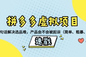 (8270期)拼多多虚拟项目:三两句话解决选品难,产品会不会被起诉(简单、粗暴、…