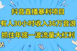 抖音直播暴利项目,有人30小时收入36万音浪,公司宣传片年会视频制作,抓住年底一波流量大红利【揭秘】