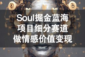 Soul掘金蓝海项目细分赛道，做情感价值变现