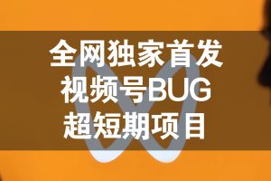 全网独家首发，视频号BUG，超短期项目