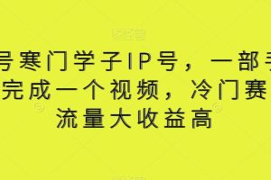 视频号寒门学子IP号，一部手价5分钟完成一个视频，冷门赛道，流量大收益高