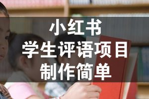 小红书学生评语项目，制作简单，日入200+（附资源素材）