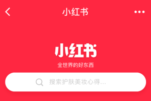 小红书暴力推文,无脑操作可矩阵【揭秘】