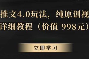 小说推文4.0玩法，纯原创视频，超详细教程（价值998元）