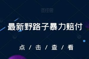 最新野路子暴力赔付