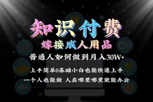 2024普通人做知识付费结合成人用品如何变现,保姆教学1.0