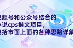 视频号和公众号结合打造的小说cps推文项目,包括市面上面的各种思路详解
