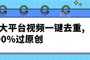 各大平台视频一键去重，100%过原创