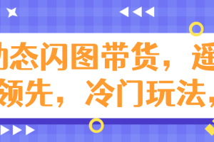 动态闪图带货，遥遥领先，冷门玩法，助你轻松引爆销量！