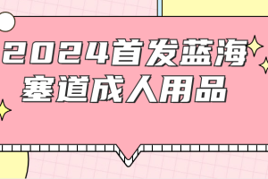 2024首发蓝海塞道成人用品教程