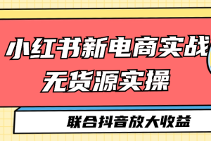 小红书新电商实战 无货源实操 联合抖音放大收益