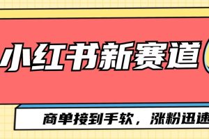 小红书新赛道，商单接到手软，涨粉迅速
