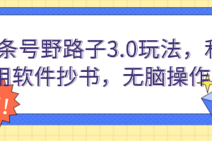 头条号野路子3.0玩法，利用软件抄书，无脑操作