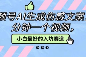 视频号AI生成伤感文案,一分钟一个视频,小白最好的入坑赛道