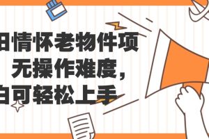 怀旧情怀老物件项目，无操作难度，小白可轻松上手