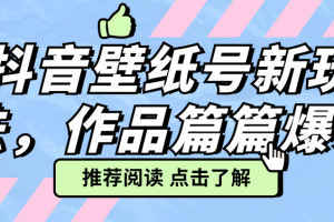 抖音壁纸号新玩法，作品篇篇爆火