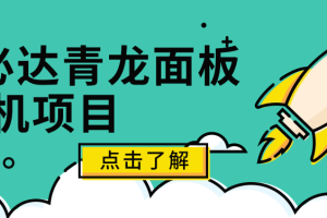 q必达青龙面板挂机项目
