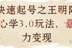 快速起号之王明阳心学3.0玩法，暴力变现
