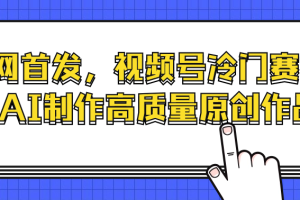 全网首发，视频号冷门赛道，AI制作高质量原创作品
