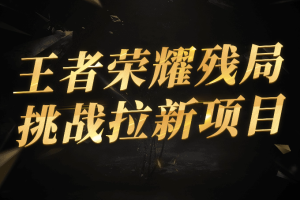 通过王者荣耀残局挑战拉新项目，8元/单。推广渠道多样，操作简单。