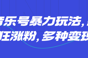 音乐号暴力玩法，疯狂涨粉，多种变现