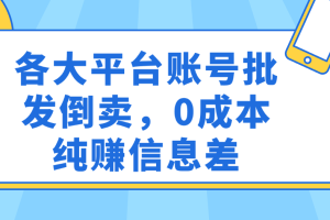 各大平台账号批发倒卖，0成本纯赚信息差