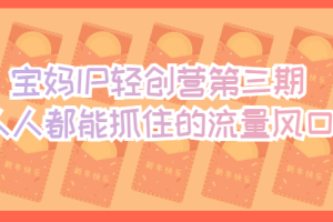 宝妈IP轻创营第三期，人人都能抓住的流量风口