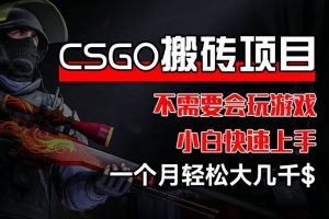 CSGO 装备搬砖项目，操作简单，不需要会玩游戏，小白也能快速上手，一个月轻松大几千