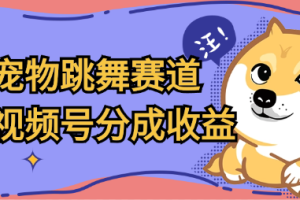 宠物跳舞赛道，撸视频号分成收益