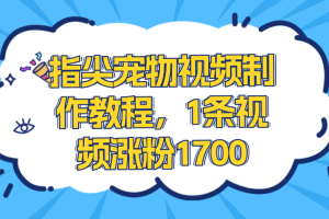 指尖宠物视频制作教程，1条视频涨粉1700