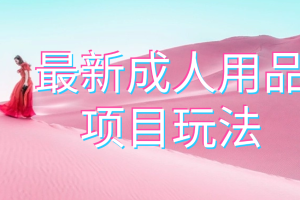 最新成人用品项目玩法