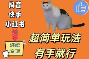 猫meme搞怪视频视频项目玩法