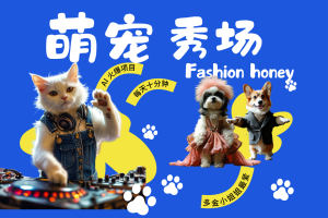 酷飒动物跳舞走秀 时尚喵FASHION汪 多金小姐姐最爱的