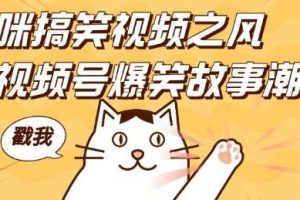 借猫咪搞笑视频之风，掀视频号爆笑故事潮